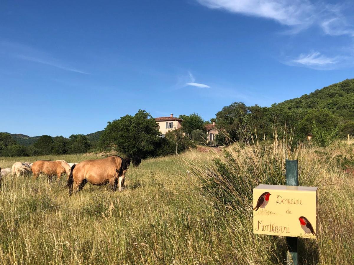 Domaine De Montbarri Bed & Breakfast La Tour-sur-Orb Dış mekan fotoğraf