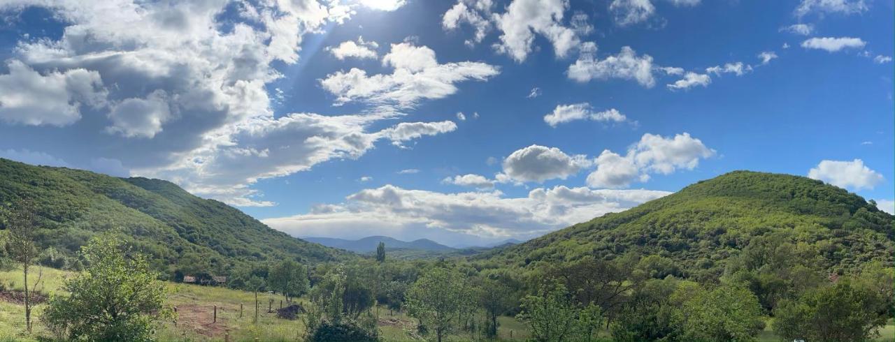 Domaine De Montbarri Bed & Breakfast La Tour-sur-Orb Dış mekan fotoğraf